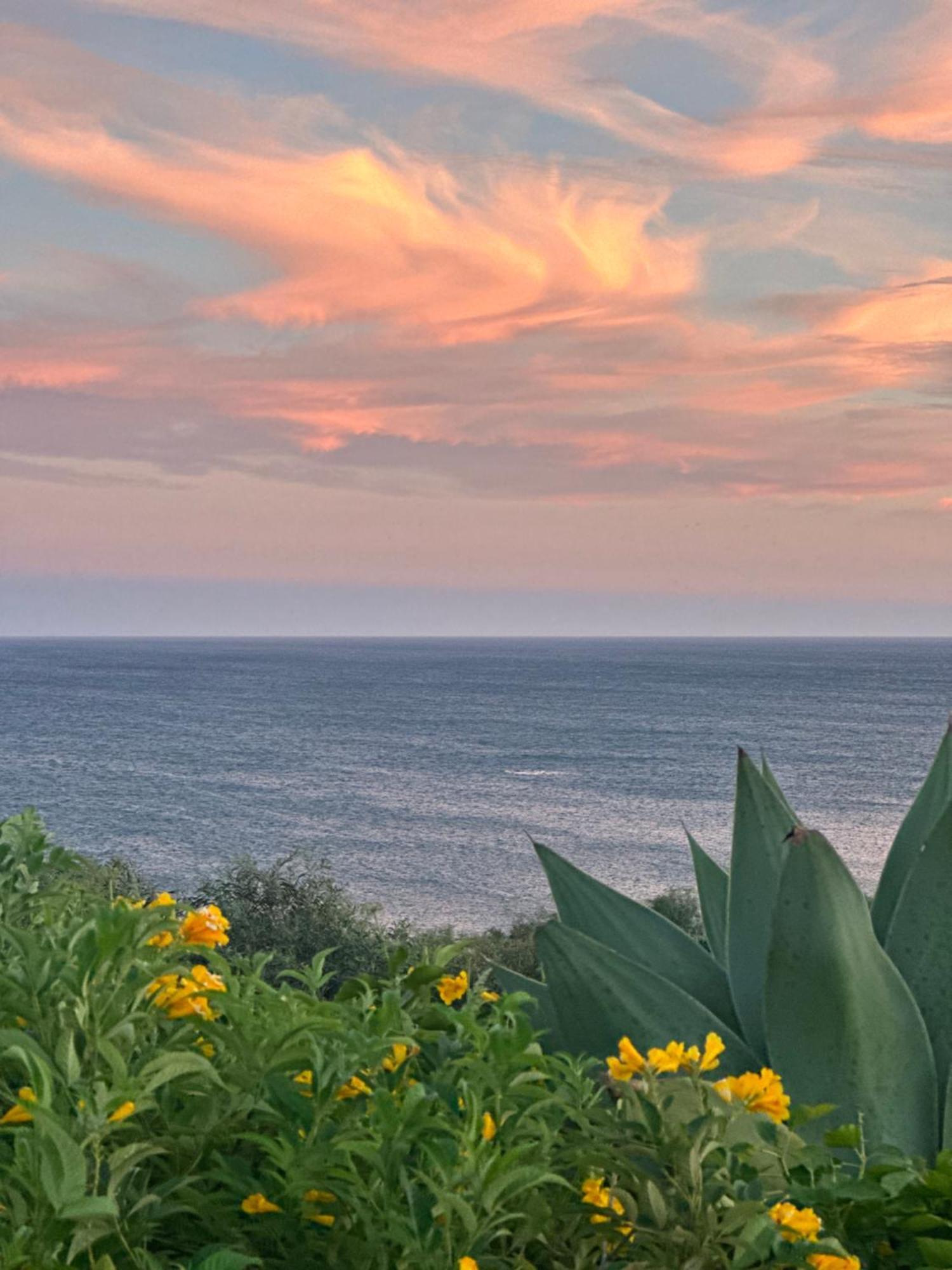 Vila Luz Buitenkant foto